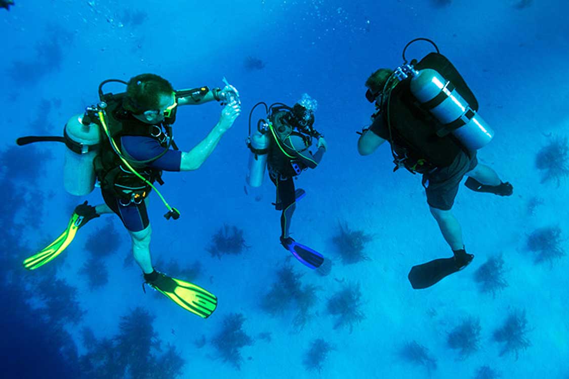 Diving Consultancy