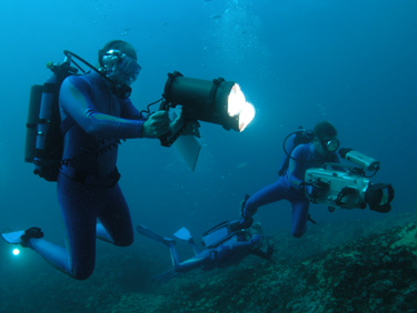 Diving Consultancy